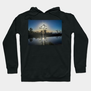 Reflection Tree Hoodie